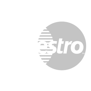 Maestro logo.