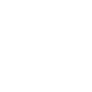Purplepay logo.