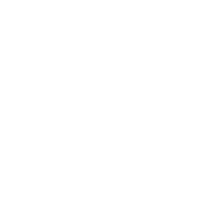 Rapid logo.